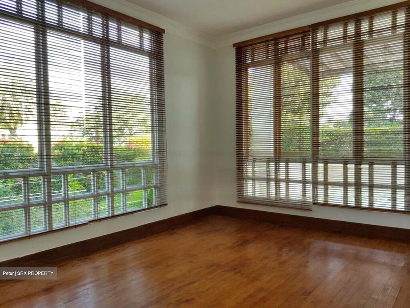 Bin Tong Park (D10), Detached #468538251